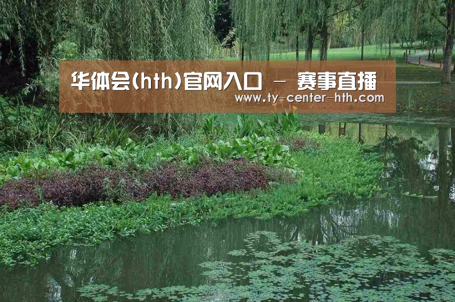 案例展示一