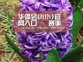 产品名称八
