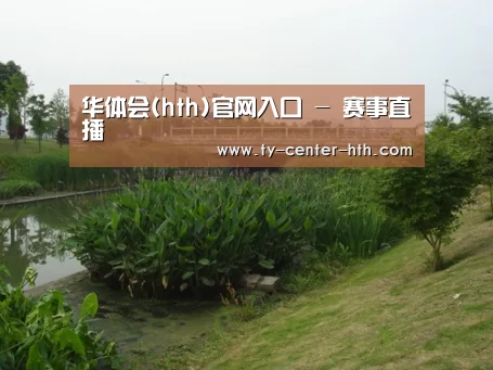 案例展示四