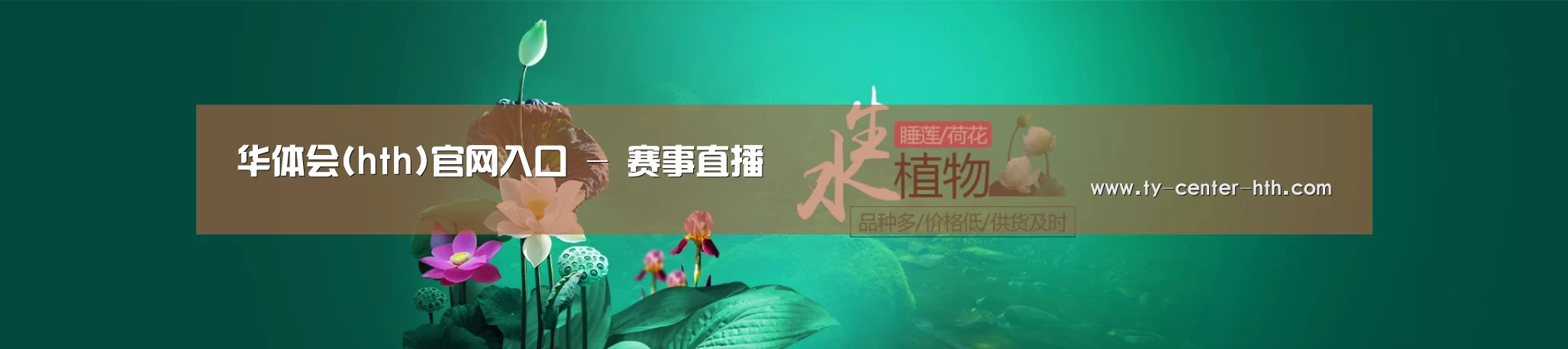 鲜花水草花卉网站模板