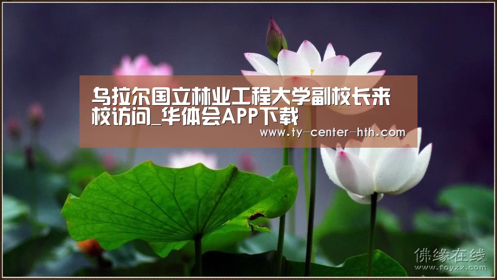华体会APP下载