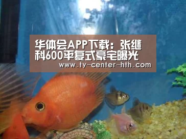 华体会APP下载