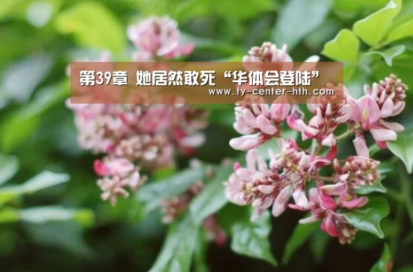 华体会入口