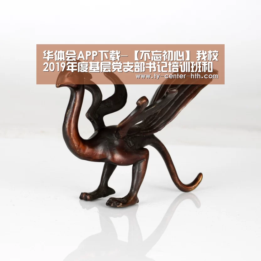 华体会入口