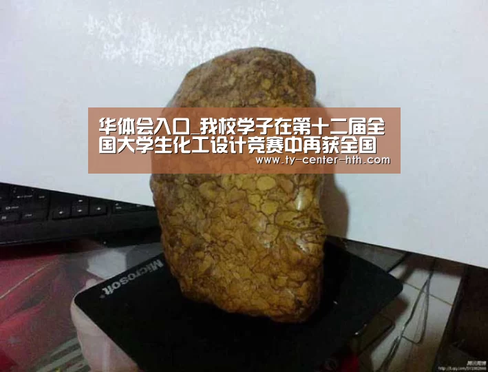 华体会入口_我校学子在第十二届全国大学生化工设计竞赛中再获全国一等奖(图3) 华体会登陆